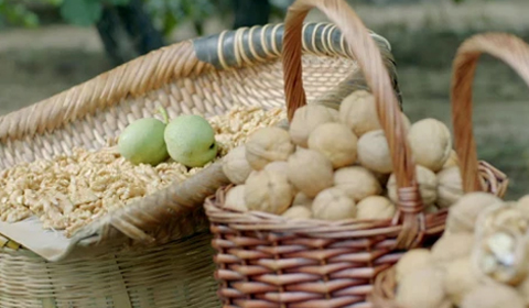 ǧӮ-qy88(����)�ٷ���վ